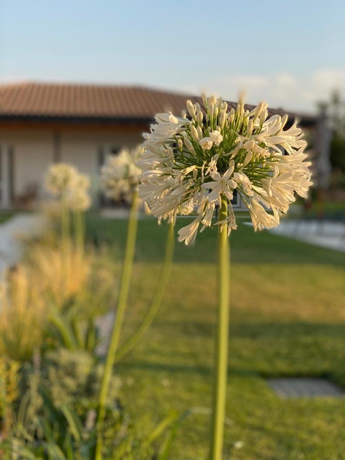 Agriturismo Pepe Rosa